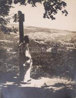 A Normafa, Budapesten cca 1932 Lukáts László fotóművész eredeti vintage felvétele 18x26 cm