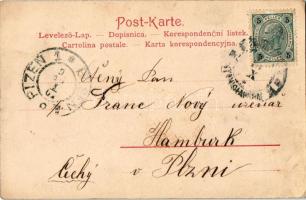 1901 Urlauber. Verlag von Alex J. Klein / Austro-Hungarian K.u.K. military, soldiers on leave (fl)