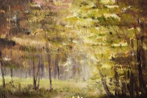 Aba Szőcs László (1944-2018): Erdei út. Olaj, farost. Jelezve jobbra lent. Dekoratív fakeretben, 50x...