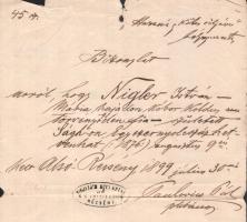 1899/1936 Récsény (Rišňovce), Felvidék, Paulovics Pál plébános által 1899-ben kiállított bizonylat N...