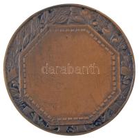 ~1920. kétoldalas bronz lövészeti díjérem eredeti tokban (49mm) T:AU patina