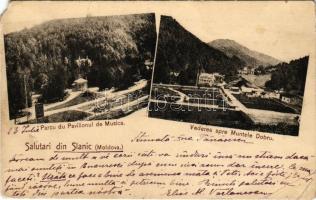 1906 Slanic-Moldova, Baile Slanic, Szlanikfürdő (Bacau); Parcu du Pavilionul de Musica, Vederea spre Muntele Dobru / park with music pavilion, general view. Edit. J. Flachs (EM)