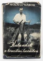 Molnár Gábor: Kalandok a brazíliai őserdőben. 26 fényképpel. Bp, 1940, Singer és Wolfner, 208 p.+8 (kétoldalas fekete-fehér képtáblák) t. Első, nyomtatásban megjelent művének első kiadása. Kiadói kissé kopott egészvászon-kötés, sérült, hiányos kiadói illusztrált papír védőborítóban.