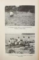 Molnár Gábor: Kalandok a brazíliai őserdőben. 26 fényképpel. Bp, 1940, Singer és Wolfner, 208 p.+8 (...