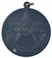 1948. "SZIT (Szakszervezeti Ifjúmunkás- és Tanoncmozgalom) - Ságvári Emlékverseny" Zn emlé...