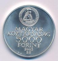 2003. 5000Ft Ag "A Rákóczi szabadságharc 300. évfordulója" kapszulában T:BU Adamo EM186