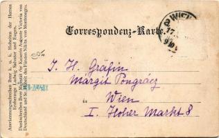 Wien, Vienna, Bécs III. Belvedere, Prinz Eugen, Erzherzog Ferdinand. Art Nouveau, floral (Rb)