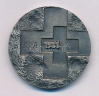 Asszonyi Tamás (1942-) 1981. "1881-1981 / 100 éves a Magyar Vöröskereszt" ezüstözött fém e...