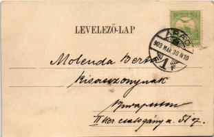 1903 Arad, Salacz park. Bloch H. nyomdája kiadása / park (EK)