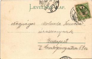 1906 Lőcse, Levoca; Erzsébet tér, Törvényszék, leányiskola. Singer kiadása / square, court, girls ...