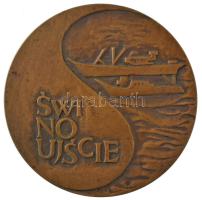 Lengyelország ~1970. "Swinoujscie" kétoldalas bronz emlékérem (69mm) T:XF patina Poland ~1970. "Świnoujście" double-sided bronze medallion (69mm) C:XF patina