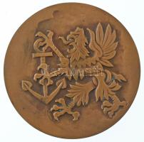 Lengyelország ~1970. "Swinoujscie" kétoldalas bronz emlékérem (69mm) T:XF patina
Poland ~...