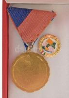 ~1970. "Veszprém Megyéért" aranyozott, zománcozott bronz kitüntetés mellszalagon, miniatűr...