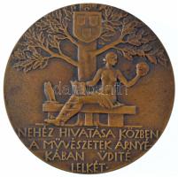 Beck Ötvös Fülöp (1873-1945) 1934. "Dr. Tóth István" Br emlékérem. "TÓTH ISTVÁN DR. E...