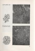 Perényi Imre: Településtervezés. Második, javított és bővített kiadás. (Dedikált.) Budapest, 1963. T...