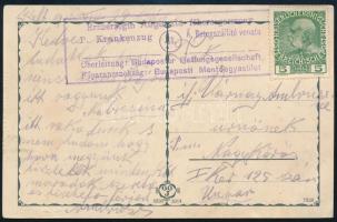 1915 Tábori posta képeslap / Field postcard "Erzherzogin Auguszta főhercegasszony / P. Krankenzug 41. Á. Betegszállító vonata / Oberleitung Budapester Rettungsgesellschaft / Főparancsnokság Budapesti Mentőegyesület"