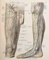 Sobotta J.: Az ember anatómiájának atlasza. Bp., 1911, Franklin. Újrakötött egészvászon kötés, egyik...