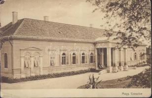 Csesztve kúria (small tear)