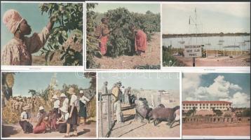 cca 1940 Raubstaat England (Anglia rablóállam) 25 db német propaganda cigaretta gyűjtőkép 18x12 cm /...