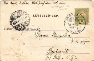 1903 Törökbálint, Kilátás a várhegyről és az urasági kastély. Scheiblinger Ferencnél kapható (EK)