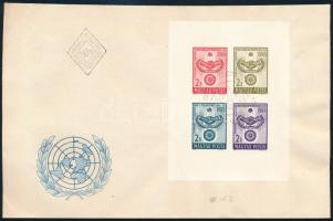 1965 Együttműködés vágott blokk FDC-n (5.500)