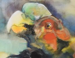 Kőrösi Papp Kálmán (1940): Papagáj, 1995. Színes tus, papír, jelezve balra lent. Plexiüvegezett kere...