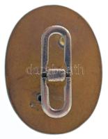 ~1900. "Magyarországi Munkások Rokkant- És Nyugdíj-Egylete 1893" zománcozott, ezüstözött g...