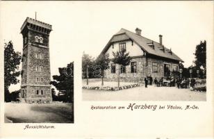 Bad Vöslau, Restauration am Harzberg bei Vöslau, Aussichtsturm / restaurant and lookout tower