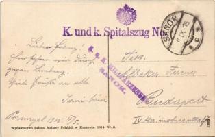 1915 Przemysl, Ul. Mickiewicza (Trakt Lwowski) / street, shops + "K. und k. Spitalszug No.&quot...