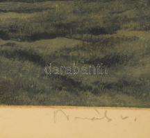 Novák Lajos (1927-1989): Dűlőút. Színezett rézkarc, papír, jelzett, üvegezett fakeretben, 29x39 cm