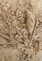 Világhy Árpád (1960-): Padlóváza. Jelzett, m: 41 cm