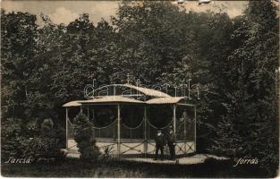 1906 Tarcsafürdő, Bad Tatzmannsdorf; forrás / mineral water spring (szakadások / tears)