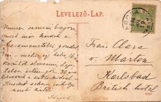 1906 Tarcsafürdő, Bad Tatzmannsdorf; forrás / mineral water spring (szakadások / tears)