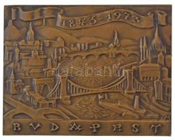 Madarassy Walter (1909-1994) 1973. "Budapest 1873-1973" egyoldalas, öntött bronz plakett dísztokban (78x101mm) T:UNC