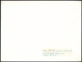 Jung Zseni (1940-): Álom, jelzett művészfotó, 18×24 cm