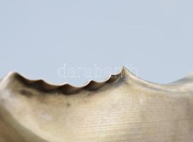 Ezüst(Ag) madaras kínálótál, jelzett, karcolásokkal, d: 17,5 cm, nettó: 231,5 g