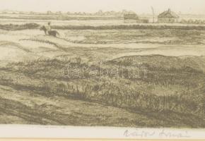 Zádor István(1882-1963): Bugaci puszta. Rézkarc, papír, jelzett, üvegezett fakeretben, 19,5×26 cm