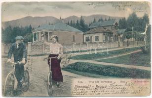 ~1900 Brassó, Kronstadt, Brasov; Noa, út a fenyvesbe. Montázs kerékpározó hölggyel és úrral / Weg zur Tannenau / road to the pine forest, montage with lady and gentleman on a bicycles (szakadás / tear)