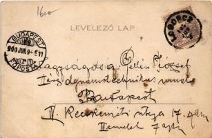 1900 Wien, Vienna, Bécs; Deutsches Volkstheater / theatre. Kunstanstalt Kosmos hold to light litho (...