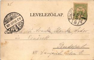 1901 Fiume, Rijeka; Molo Adamich / port, steamships (fl)