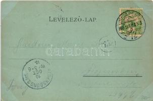 1900 Budapest V. Látkép madártávlatból, Erzsébet híd nélkül (EK)