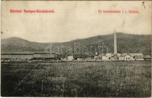 1909 Hársfalva, Nelipino, Nelipyno (Szolyva, Svaliava); Fa kereskedelmi rt. fűrésztelepe. Berger Jenő kiadása / sawmill (fl)