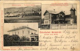 1903 Brád, Rákova aranyzúzda, Központi ügykezelő épület és központi iroda / Pochwerk Rákova, Central-Verwaltungs-Gebäude, Central-Kanzelei / gold mine, offices (EB)