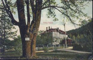 Fenyőháza Erzsébet park (EK)