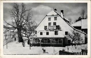 Mariazell (Steiermark), Johann Sampl das altbekannte Gasthaus "zur 1000 jährigen hohlen Linde" Rasing / inn, hotel in winter (EK)