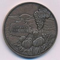 2024. 3000Ft Cu-Zn "Baranya vármegye, Pécs" kapszulában T:UNC