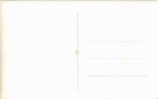 Kotor, Cattaro; general view, railway, photo