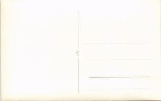 Kotor, Cattaro; general view, railway, photo