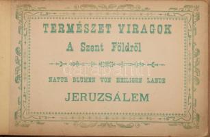 cca 1900-1910 Jeruzsálem, természet virágok a Szentföldről, emlékalbum szárított, préselt virágokkal, magyar, angol, francia és német nyelven feliratozva. Harántalakú fatáblás kötésben, korának megfelelő állapotban, az előzéklapon ajándékozási sorokkal, 12 sztl. lev.