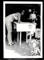 Vidarény Iván (1887-1982): Virágszál (1959) vintage fotó nagyítás 39x30 cm